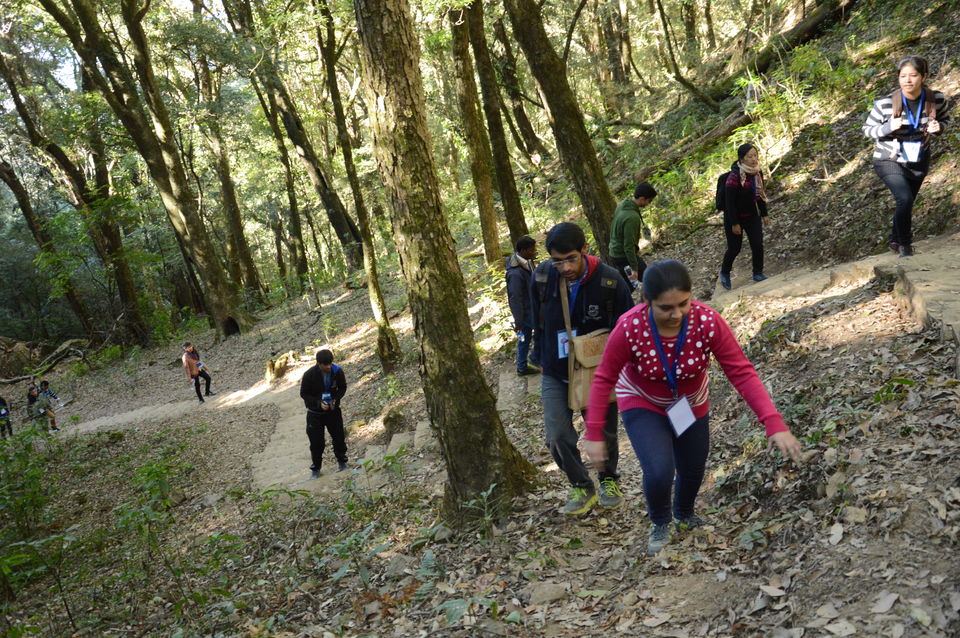 Photo of Exploring the beauty of Nagaland: The Land of Warriors 50/57 by Rachita Sharma