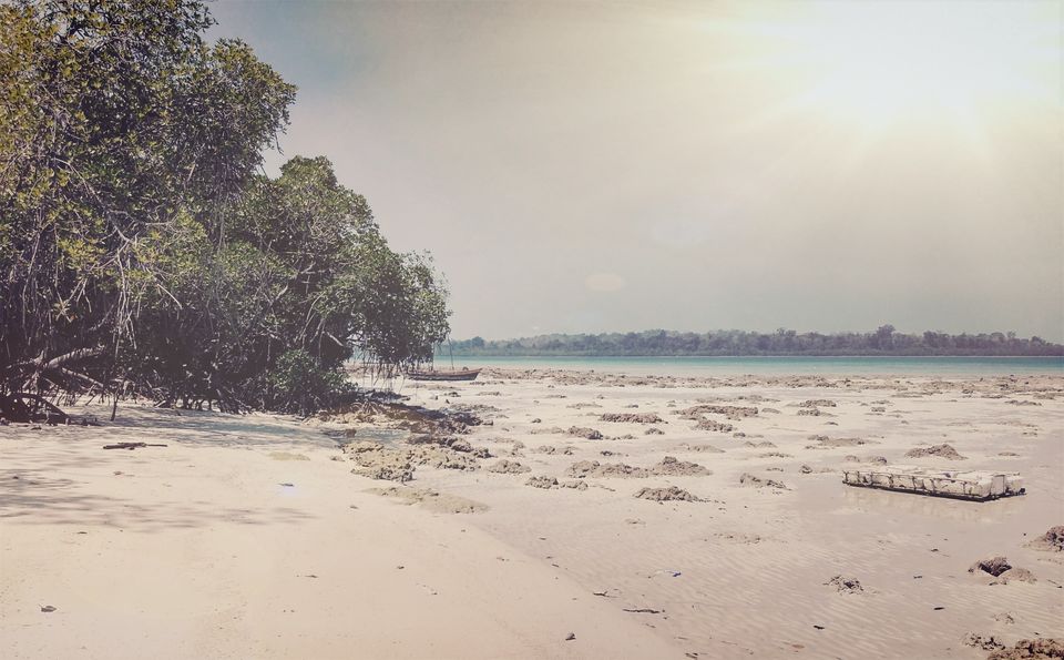 Photo of Amazing Andamans 3/6 by Sandipan Dasgupta