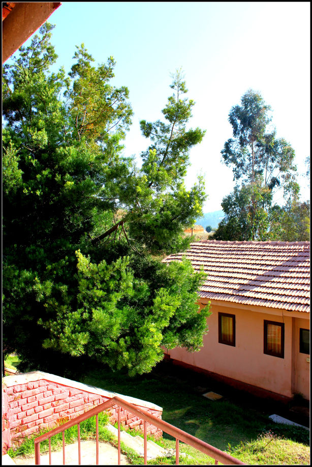 Photo of Ooty; a ride into the heavenly Nilgiris 59/94 by Rahul Arora