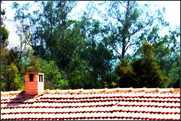 Photo of Ooty; a ride into the heavenly Nilgiris 61/94 by Rahul Arora