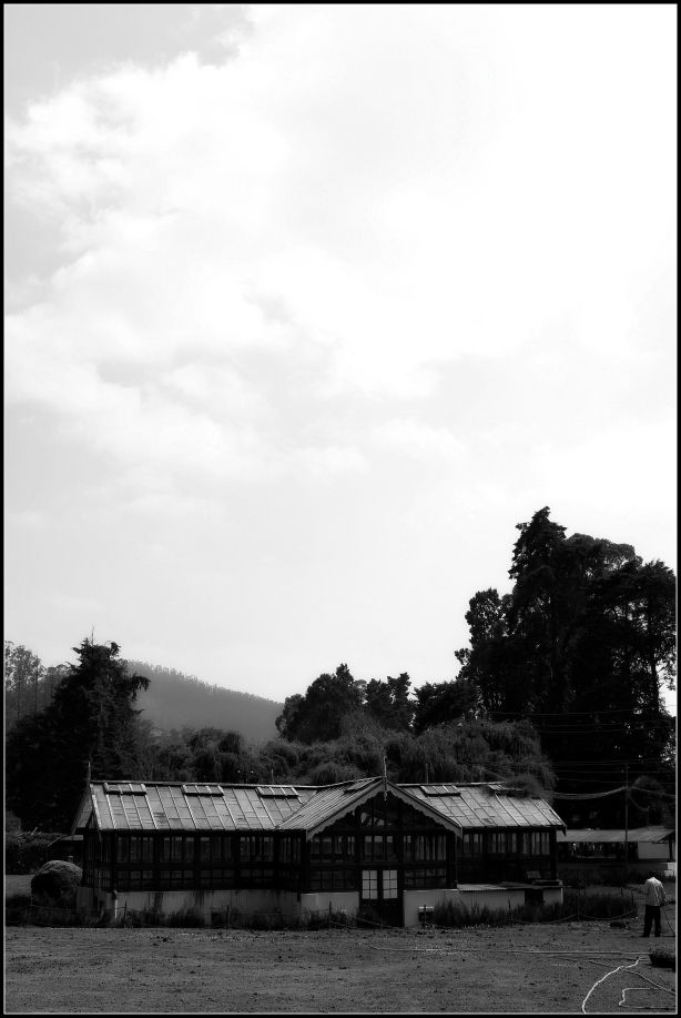 Photo of Ooty; a ride into the heavenly Nilgiris 63/94 by Rahul Arora