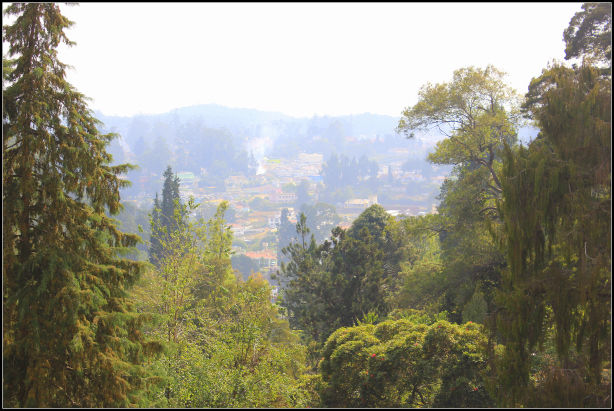 Photo of Ooty; a ride into the heavenly Nilgiris 67/94 by Rahul Arora