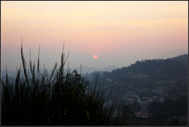 Photo of Ooty; a ride into the heavenly Nilgiris 74/94 by Rahul Arora