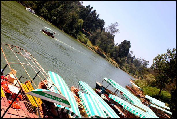 Photo of Ooty; a ride into the heavenly Nilgiris 77/94 by Rahul Arora