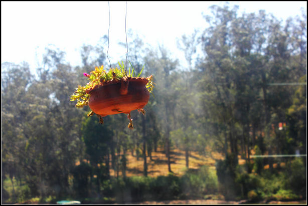 Photo of Ooty; a ride into the heavenly Nilgiris 78/94 by Rahul Arora
