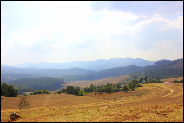 Photo of Ooty; a ride into the heavenly Nilgiris 83/94 by Rahul Arora