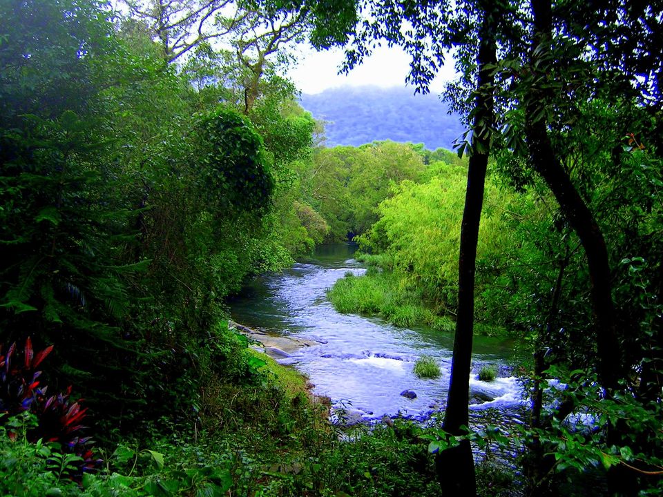 Photo of Sai Sanctuary, Coorg: This couple Transformed 300 Acres Of Farmland Into A Private Sanctuary! 1/3 by Gunjan Upreti