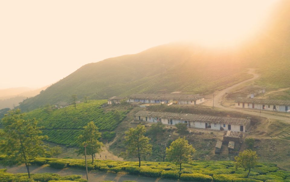 Photo of A solo adventure ride on 'bull' 19/21 by Venuu Zac