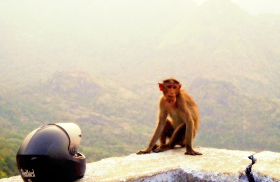 Photo of A solo adventure ride on 'bull' 20/21 by Venuu Zac