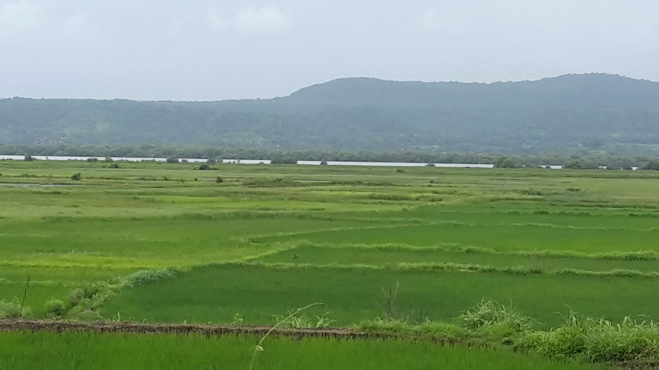 Photo of Alibaug the palaces of beach. 1/1 by Traveloclue
