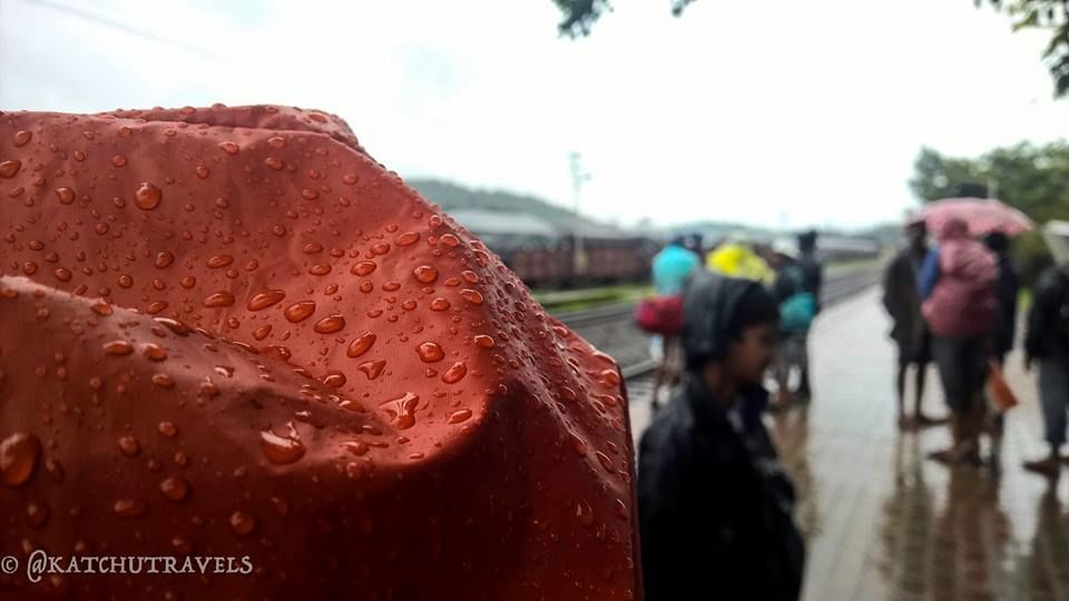 Photo of Jab We Met: The Goan Monsoon in a Rainforest! 66/128 by KatchuTravels