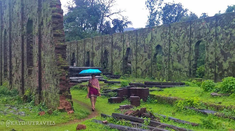 Photo of Jab We Met: The Goan Monsoon in a Rainforest! 68/128 by KatchuTravels