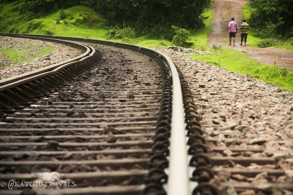 Photo of Jab We Met: The Goan Monsoon in a Rainforest! 69/128 by KatchuTravels