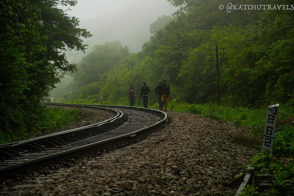 Photo of Jab We Met: The Goan Monsoon in a Rainforest! 70/128 by KatchuTravels