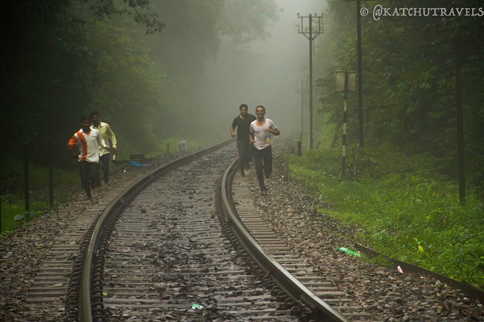 Photo of Jab We Met: The Goan Monsoon in a Rainforest! 71/128 by KatchuTravels