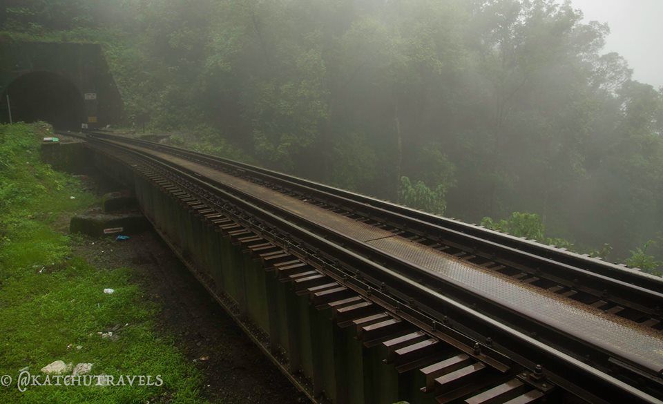 Photo of Jab We Met: The Goan Monsoon in a Rainforest! 72/128 by KatchuTravels