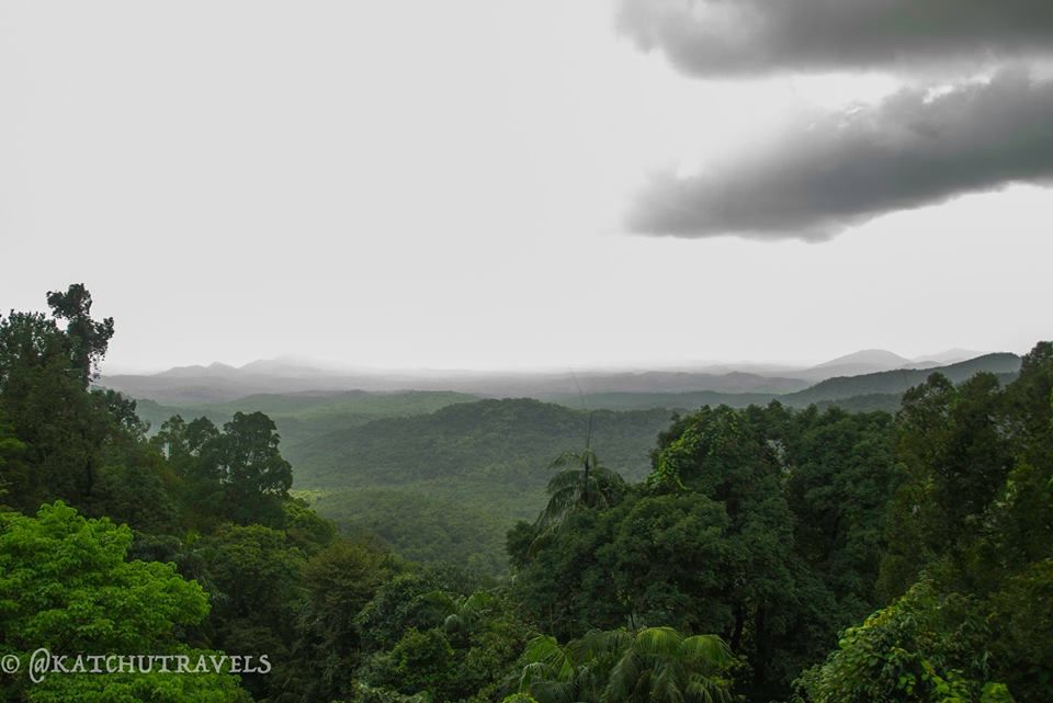 Photo of Jab We Met: The Goan Monsoon in a Rainforest! 76/128 by KatchuTravels