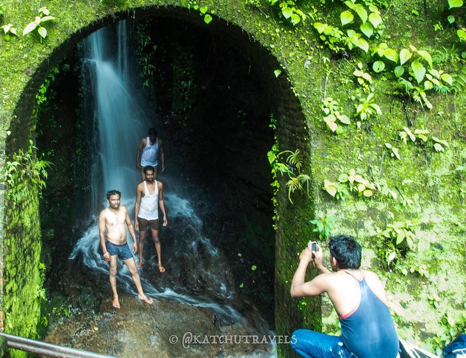 Photo of Jab We Met: The Goan Monsoon in a Rainforest! 82/128 by KatchuTravels