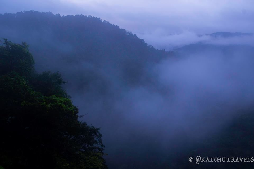 Photo of Jab We Met: The Goan Monsoon in a Rainforest! 86/128 by KatchuTravels