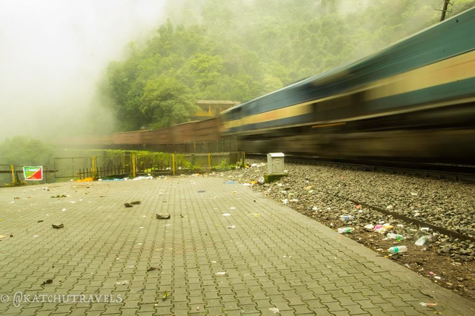 Photo of Jab We Met: The Goan Monsoon in a Rainforest! 87/128 by KatchuTravels