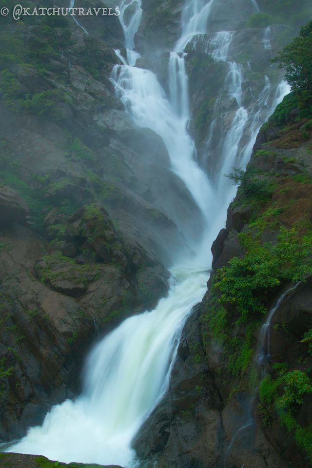 Photo of Jab We Met: The Goan Monsoon in a Rainforest! 89/128 by KatchuTravels