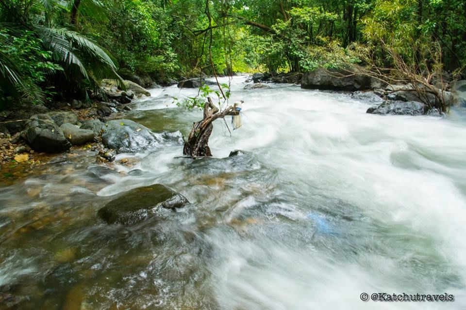 Photo of Jab We Met: The Goan Monsoon in a Rainforest! 100/128 by KatchuTravels