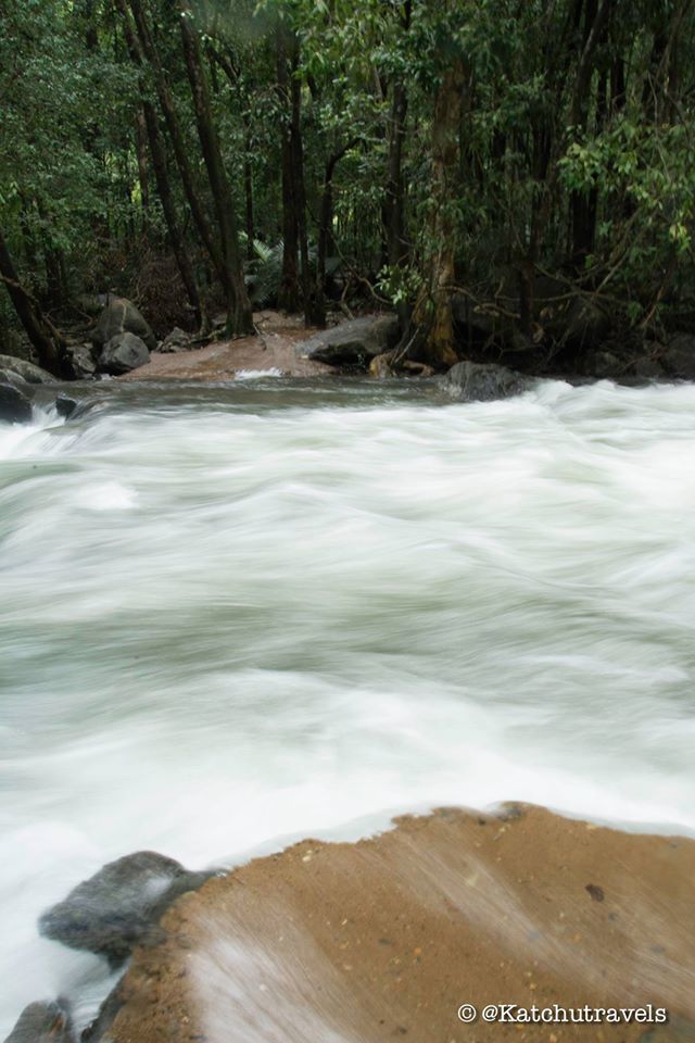 Photo of Jab We Met: The Goan Monsoon in a Rainforest! 101/128 by KatchuTravels