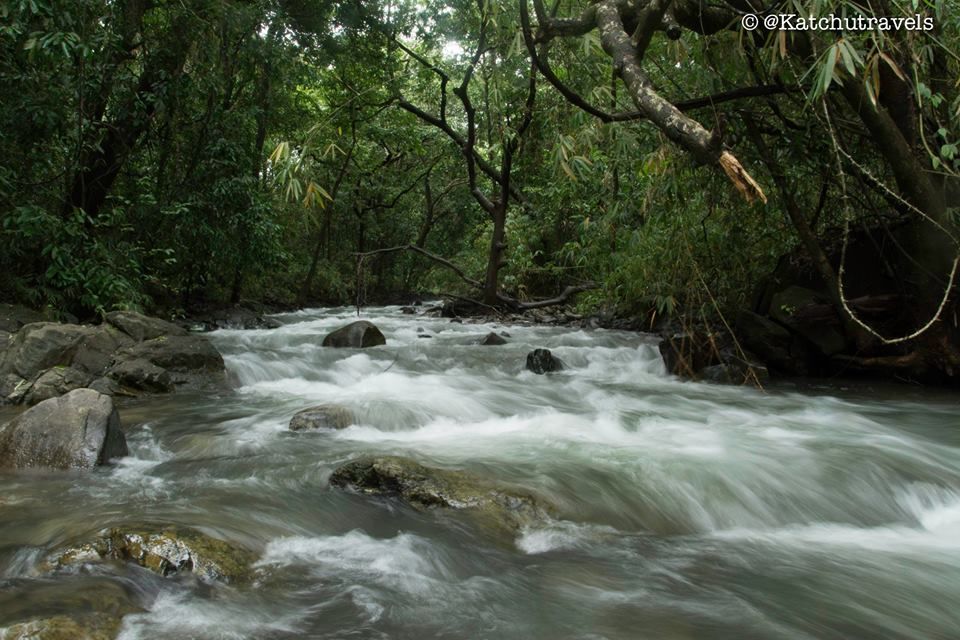 Photo of Jab We Met: The Goan Monsoon in a Rainforest! 102/128 by KatchuTravels