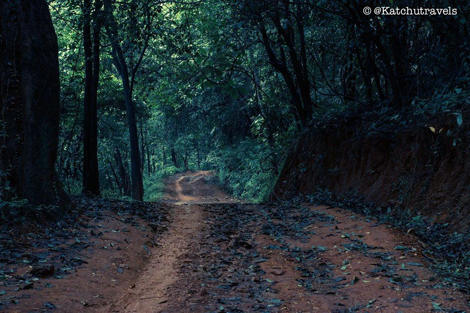 Photo of Jab We Met: The Goan Monsoon in a Rainforest! 105/128 by KatchuTravels