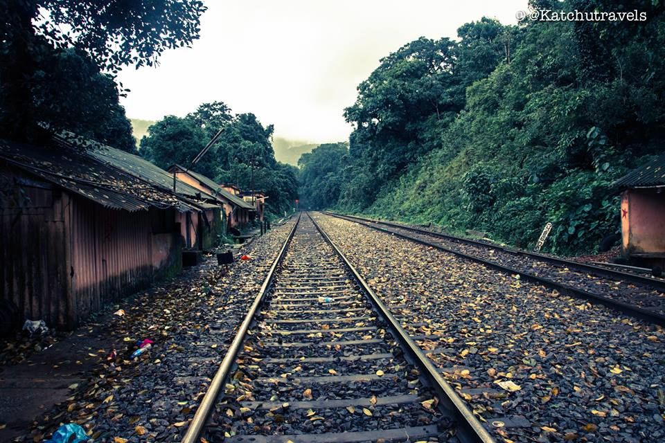 Photo of Jab We Met: The Goan Monsoon in a Rainforest! 110/128 by KatchuTravels