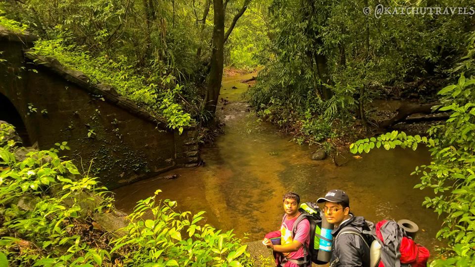Photo of Jab We Met: The Goan Monsoon in a Rainforest! 116/128 by KatchuTravels