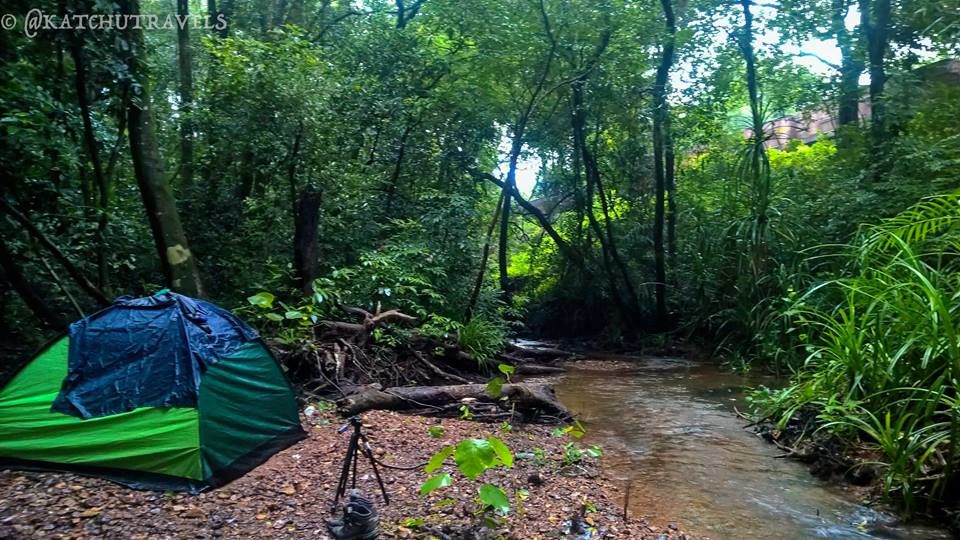 Photo of Jab We Met: The Goan Monsoon in a Rainforest! 117/128 by KatchuTravels