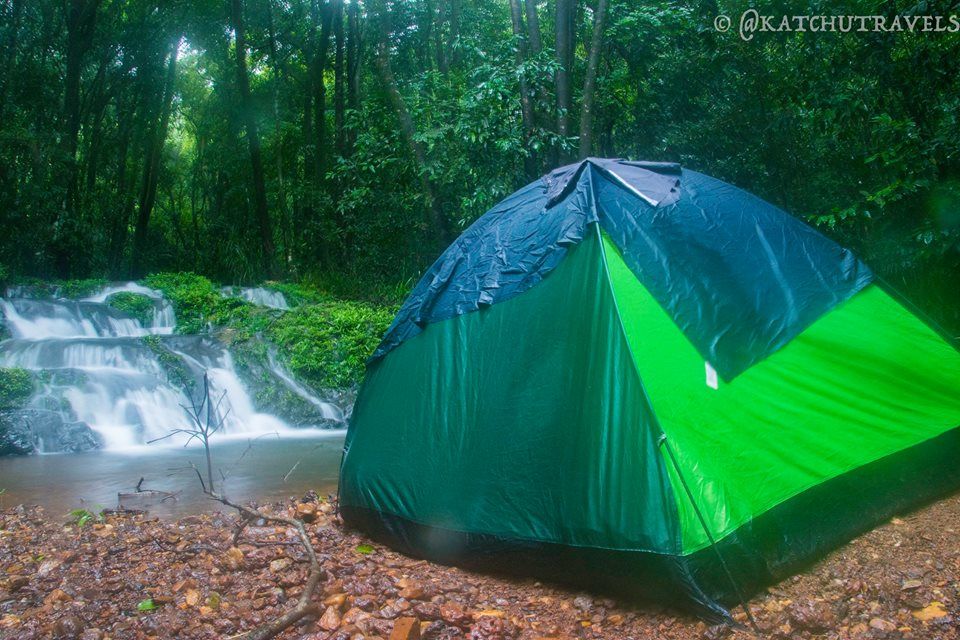 Photo of Jab We Met: The Goan Monsoon in a Rainforest! 118/128 by KatchuTravels