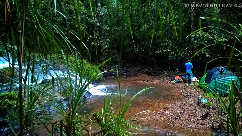Photo of Jab We Met: The Goan Monsoon in a Rainforest! 119/128 by KatchuTravels