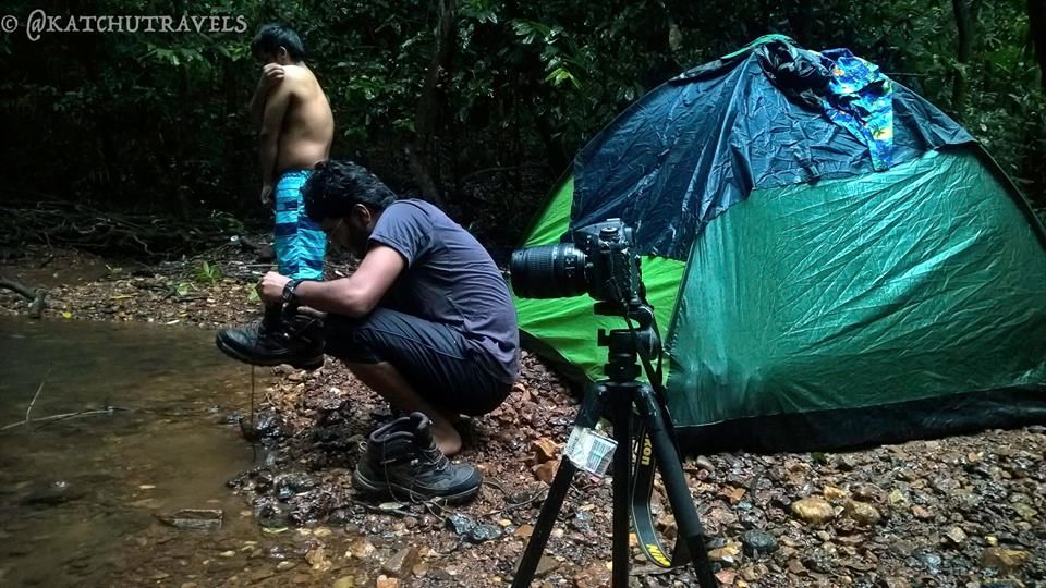 Photo of Jab We Met: The Goan Monsoon in a Rainforest! 120/128 by KatchuTravels