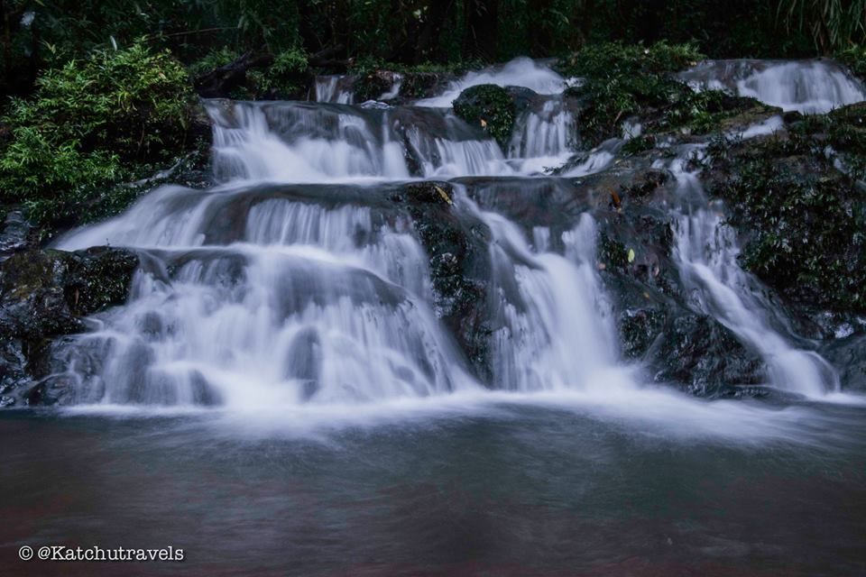 Photo of Jab We Met: The Goan Monsoon in a Rainforest! 123/128 by KatchuTravels
