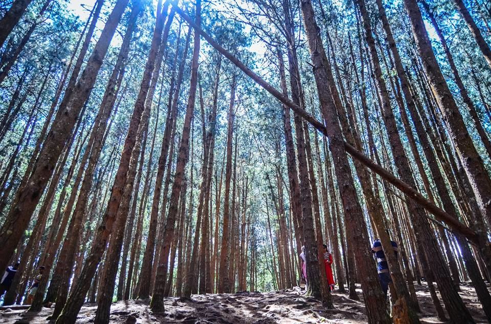 Photo of A Road Much Travelled, But I Coloured It --> KodaiKanal / Coonoor 8/8 by Natasha SK