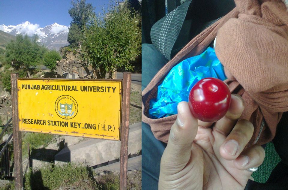 Photo of Leh trip via Hitch-hiking 4/17 by Yardan Dive