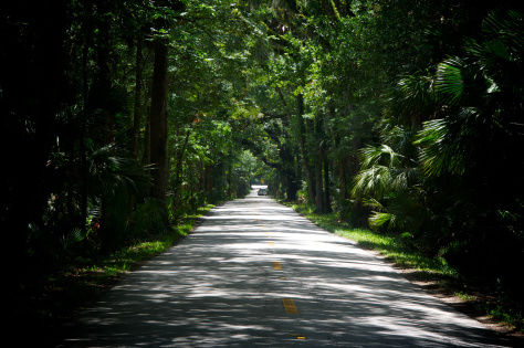 Photo of The lesser known attraction of Eastern Ghats! 3/8 by Nupoor Sinha