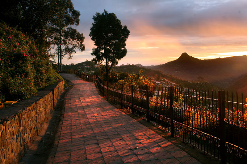 Photo of Travel within the clouds : Kodaikanal 10/18 by Nilay Chakrapani