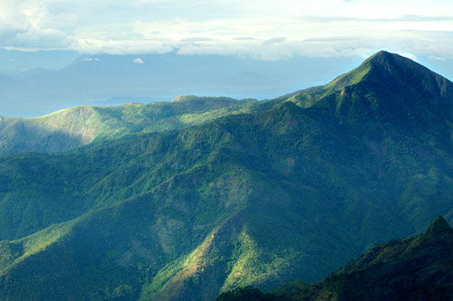 Photo of Travel within the clouds : Kodaikanal 14/18 by Nilay Chakrapani
