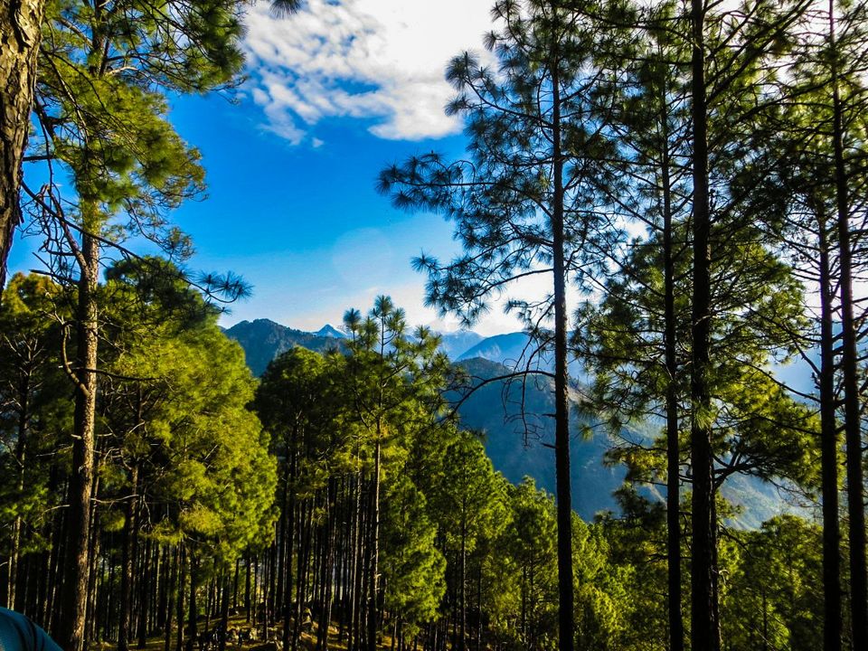 Photo of You don’t conquer the mountain, But yourself. 5/5 by Sheeba