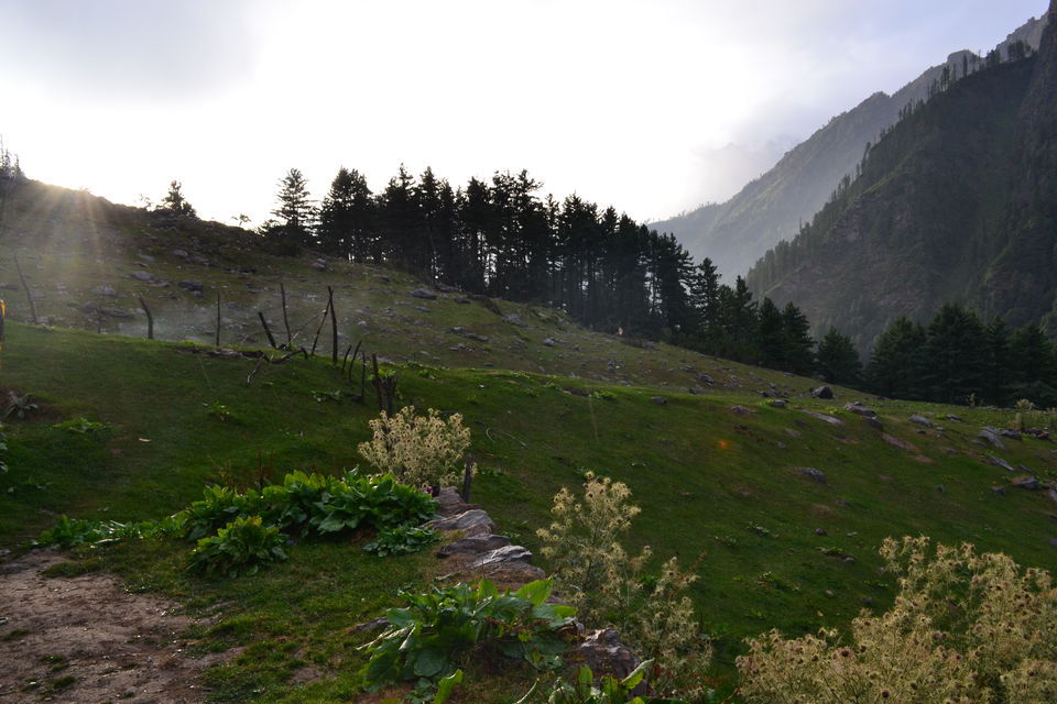 Photo of Kasol - Tosh - Kheerganga 35/39 by Tanmay Jadhav
