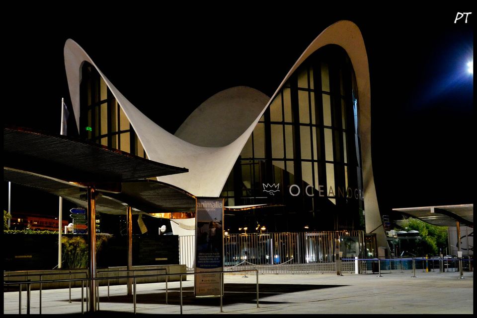 Photo of The secret adventure in Spain 60/75 by Priyanka Telang