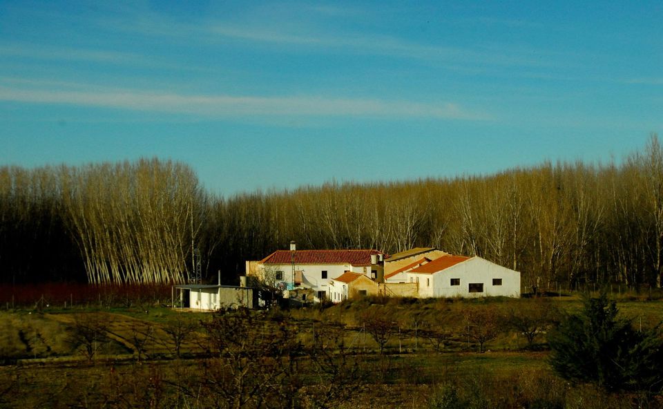 Photo of The secret adventure in Spain 61/75 by Priyanka Telang