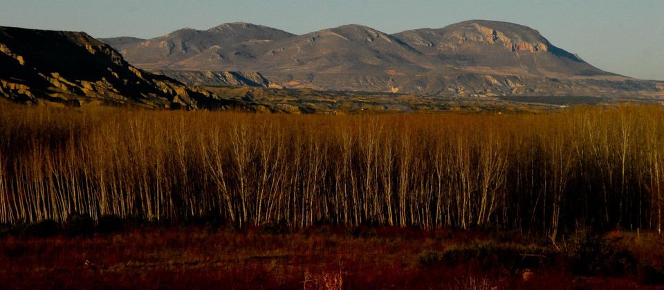 Photo of The secret adventure in Spain 54/75 by Priyanka Telang