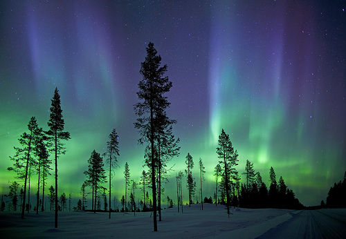 Photo of Green travel: Five places that are every green freak’s paradise: 3/7 by Nikhila Kanakamedala