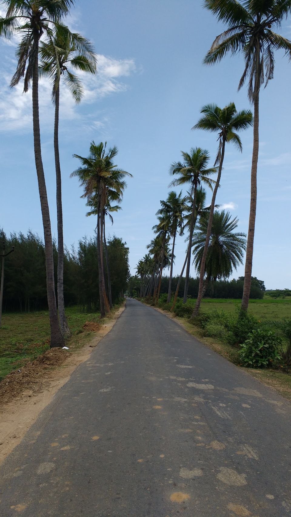 Photo of Solo travelling in Pondicehrry 1/12 by Misha Arora