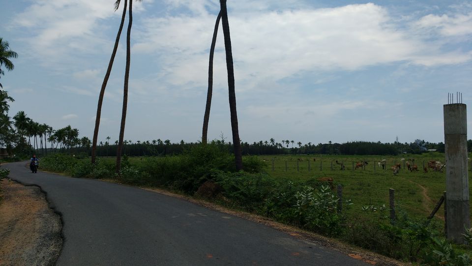 Photo of Solo travelling in Pondicehrry 2/12 by Misha Arora