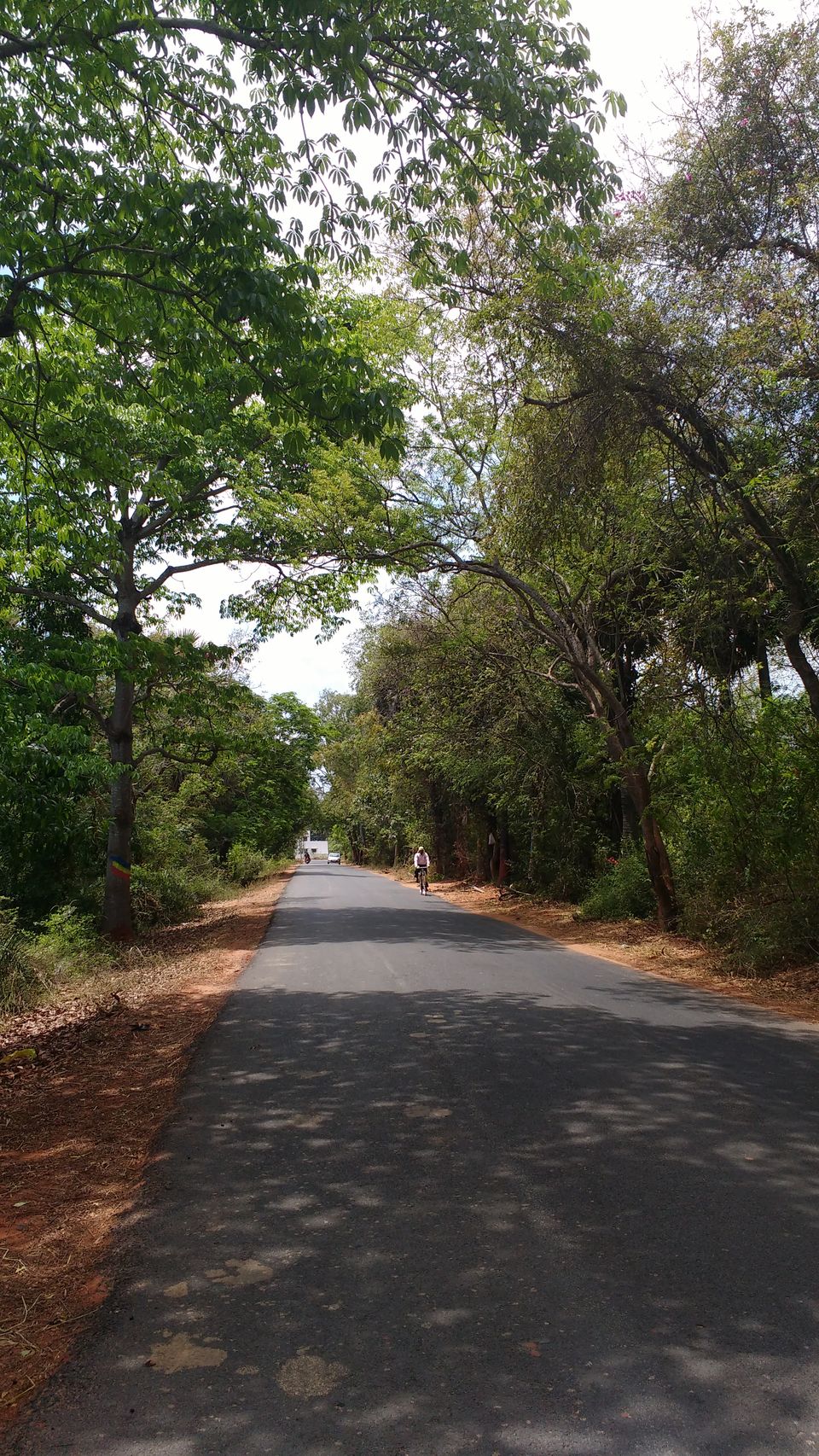 Photo of Solo travelling in Pondicehrry 3/12 by Misha Arora